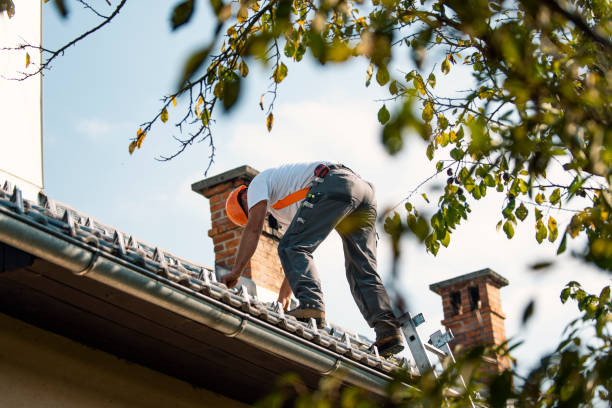 Best Roof Leak Repair  in Mulberry, IN